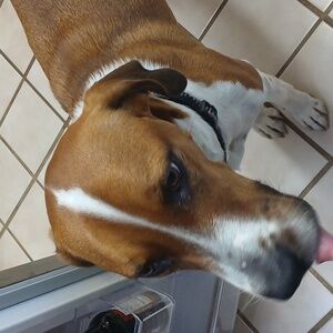 Meet your Posher, Chris